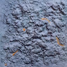"Blaue monochrome Oberfläche", 50 x 50 cm