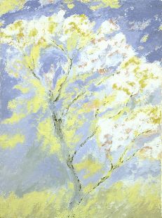 "Amandier en fleur", 45 x 60 cm