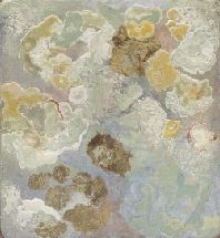 "Lichen vert", 33 x 36 cm