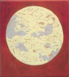 "Lichen sur fond rouge", 40 x 44 cm